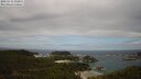 ./images/calvert/lookout/20250513/lookout20250513_113011M.jpg