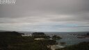 ./images/calvert/lookout/20250513/lookout20250513_115510M.jpg