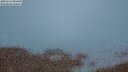 ./images/calvert/lookout/20250515/lookout20250515_050008M.jpg