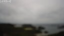 ./images/calvert/lookout/20250515/lookout20250515_110011M.jpg