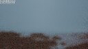 ./images/calvert/lookout/20250515/lookout20250515_220509M.jpg