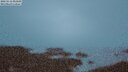 ./images/calvert/lookout/20250516/lookout20250516_050008M.jpg