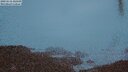 ./images/calvert/lookout/20250516/lookout20250516_220510M.jpg