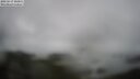 ./images/calvert/lookout/20250517/lookout20250517_100011M.jpg