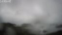 ./images/calvert/lookout/20250517/lookout20250517_100510M.jpg