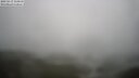 ./images/calvert/lookout/20250517/lookout20250517_114510M.jpg