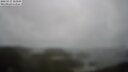 ./images/calvert/lookout/20250517/lookout20250517_124009M.jpg
