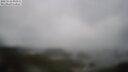 ./images/calvert/lookout/20250518/lookout20250518_091510M.jpg