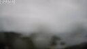./images/calvert/lookout/20250518/lookout20250518_094511M.jpg