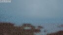 ./images/calvert/lookout/20250518/lookout20250518_220509M.jpg