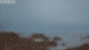 ./images/calvert/lookout/20250518/lookout20250518_221009M.jpg
