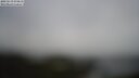 ./images/calvert/lookout/20250519/lookout20250519_074510M.jpg