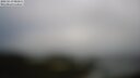 ./images/calvert/lookout/20250519/lookout20250519_081010M.jpg