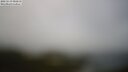 ./images/calvert/lookout/20250519/lookout20250519_082011M.jpg