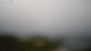 ./images/calvert/lookout/20250519/lookout20250519_083011M.jpg