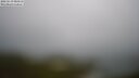 ./images/calvert/lookout/20250519/lookout20250519_083510M.jpg
