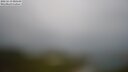 ./images/calvert/lookout/20250519/lookout20250519_085509M.jpg