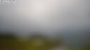 ./images/calvert/lookout/20250519/lookout20250519_091008M.jpg