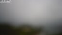 ./images/calvert/lookout/20250519/lookout20250519_091511M.jpg