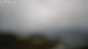 ./images/calvert/lookout/20250519/lookout20250519_092010M.jpg
