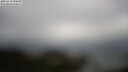 ./images/calvert/lookout/20250519/lookout20250519_092509M.jpg