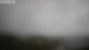 ./images/calvert/lookout/20250519/lookout20250519_095510M.jpg