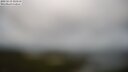 ./images/calvert/lookout/20250519/lookout20250519_103510M.jpg