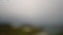 ./images/calvert/lookout/20250519/lookout20250519_111511M.jpg