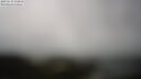./images/calvert/lookout/20250519/lookout20250519_113011M.jpg