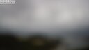 ./images/calvert/lookout/20250519/lookout20250519_123510M.jpg