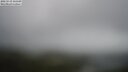 ./images/calvert/lookout/20250519/lookout20250519_140509M.jpg