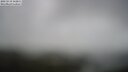 ./images/calvert/lookout/20250519/lookout20250519_142011M.jpg