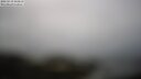 ./images/calvert/lookout/20250519/lookout20250519_144511M.jpg