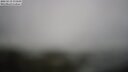 ./images/calvert/lookout/20250519/lookout20250519_173509M.jpg