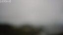 ./images/calvert/lookout/20250521/lookout20250521_090011M.jpg