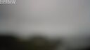 ./images/calvert/lookout/20250521/lookout20250521_092011M.jpg