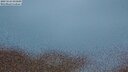./images/calvert/lookout/20250524/lookout20250524_045009M.jpg