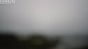 ./images/calvert/lookout/20250524/lookout20250524_083510M.jpg