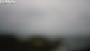 ./images/calvert/lookout/20250524/lookout20250524_090510M.jpg
