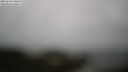 ./images/calvert/lookout/20250524/lookout20250524_135510M.jpg
