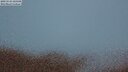 ./images/calvert/lookout/20250524/lookout20250524_221508M.jpg