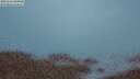 ./images/calvert/lookout/20250525/lookout20250525_044508M.jpg