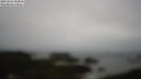 ./images/calvert/lookout/20250525/lookout20250525_112011M.jpg