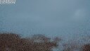 ./images/calvert/lookout/20250525/lookout20250525_221508M.jpg