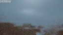./images/calvert/lookout/20250525/lookout20250525_222009M.jpg