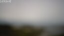 ./images/calvert/lookout/20250526/lookout20250526_093011M.jpg