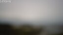 ./images/calvert/lookout/20250526/lookout20250526_093510M.jpg