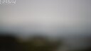 ./images/calvert/lookout/20250526/lookout20250526_100509M.jpg