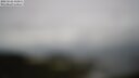 ./images/calvert/lookout/20250526/lookout20250526_110012M.jpg