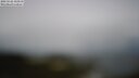 ./images/calvert/lookout/20250526/lookout20250526_113510M.jpg